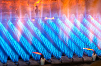 Gwenddwr gas fired boilers